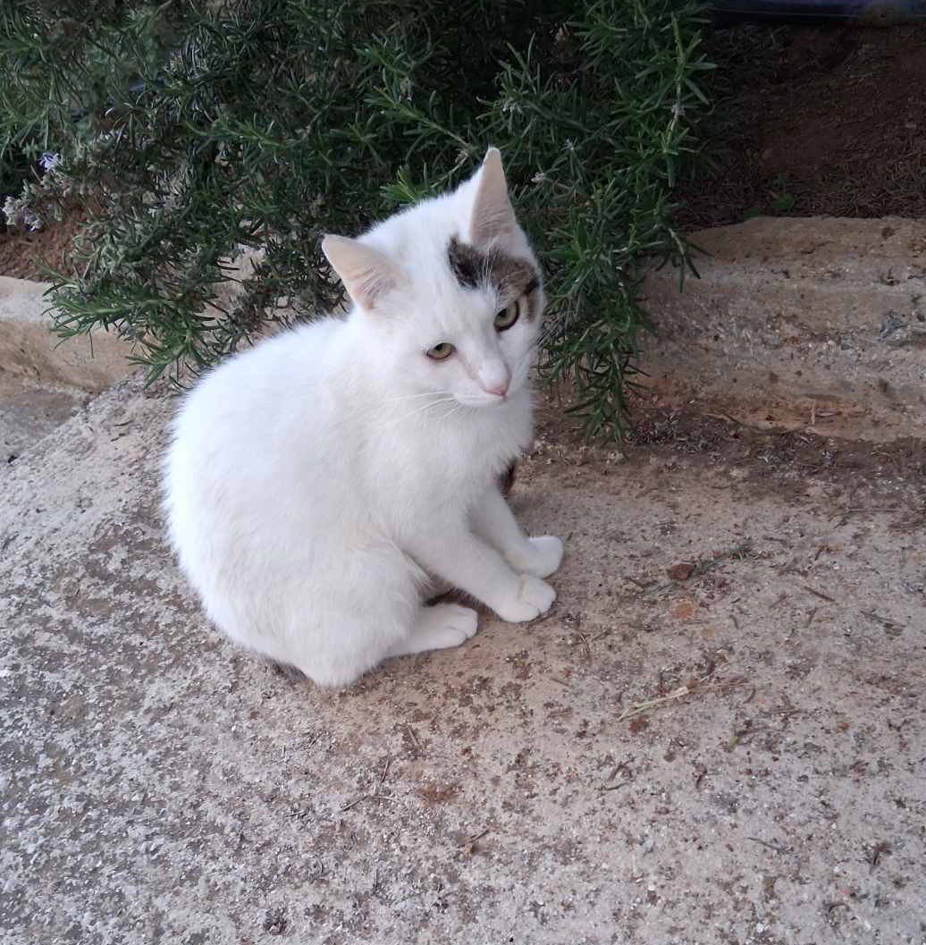 ΤΑΜΠΥ