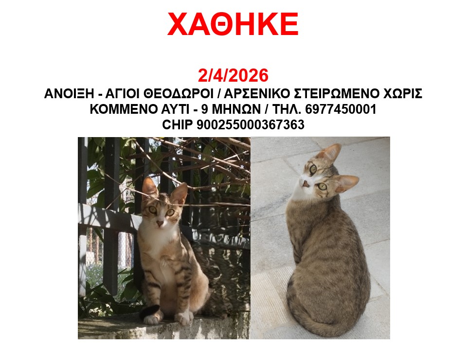 Αγγελία